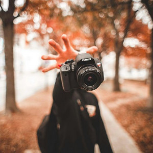 Buy a Sony camera or canon Comprehensive review